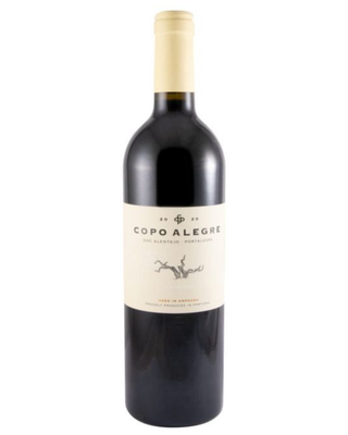 Copo Alegre Alentejano Red Wine 75cl