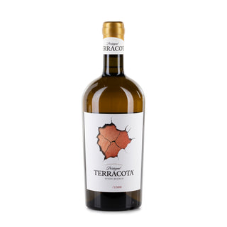 Vinho Branco Terracota 75cl